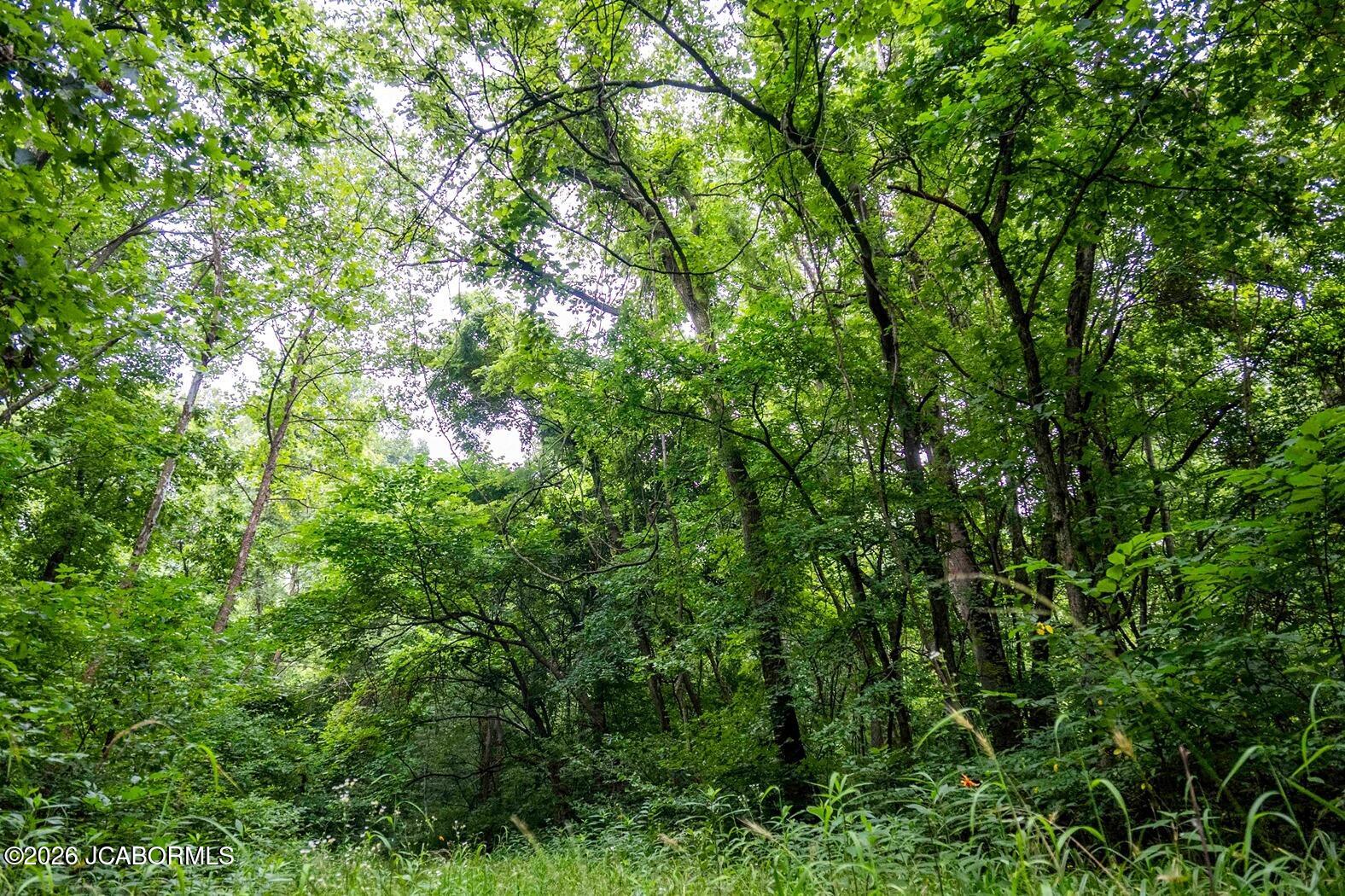 Tbd Talley Road Hartsburg, MO 65039 - Photo 51 of 106