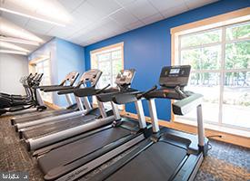 4230 Lakeview Parkway Locust Grove, VA 22508 - Photo 19 of 21 a view of a room with gym equipment