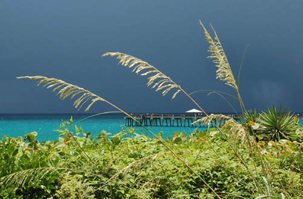 3910 Back Bay Drive, Unit 235 Jupiter, FL 33477 - Photo 47 of 51 Juno Pier