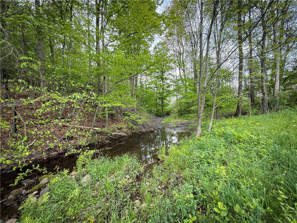 450 Dean Creek Road Spencer, NY 14883 - Photo 26 of 50