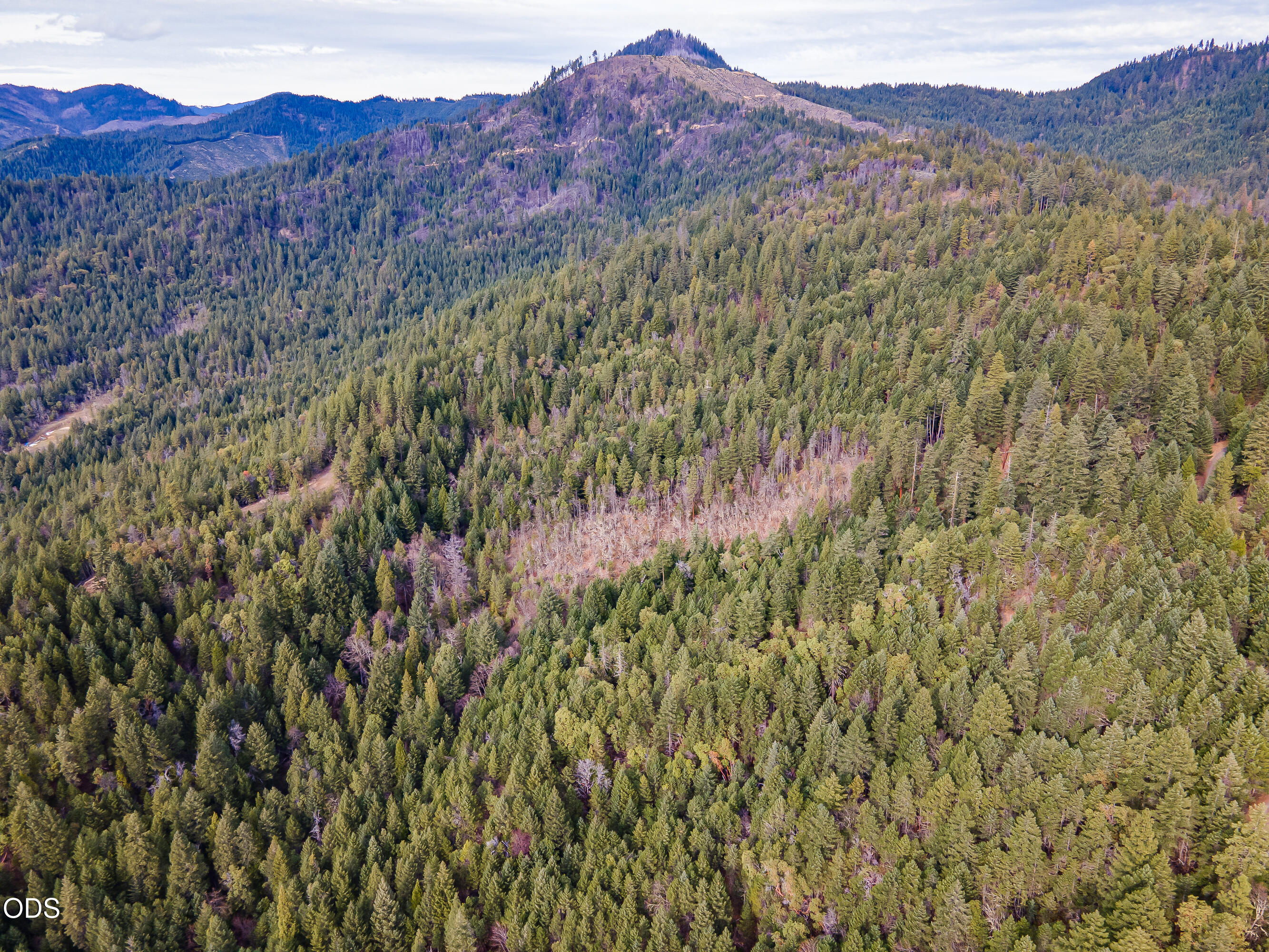 Pleasant Cr Road Rogue River, OR 97537 - Photo 8 of 42
