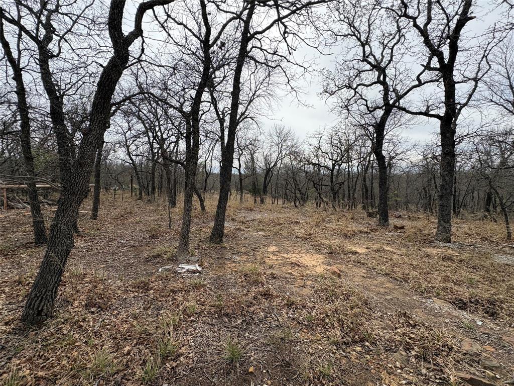 1735 Rd Chico Tx 76431 Road, Unit 1735 Chico, TX 76431 - Photo 6 of 10