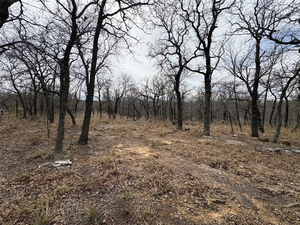 1735 Rd Chico Tx 76431 Road, Unit 1735 Chico, TX 76431 - Photo 7 of 10