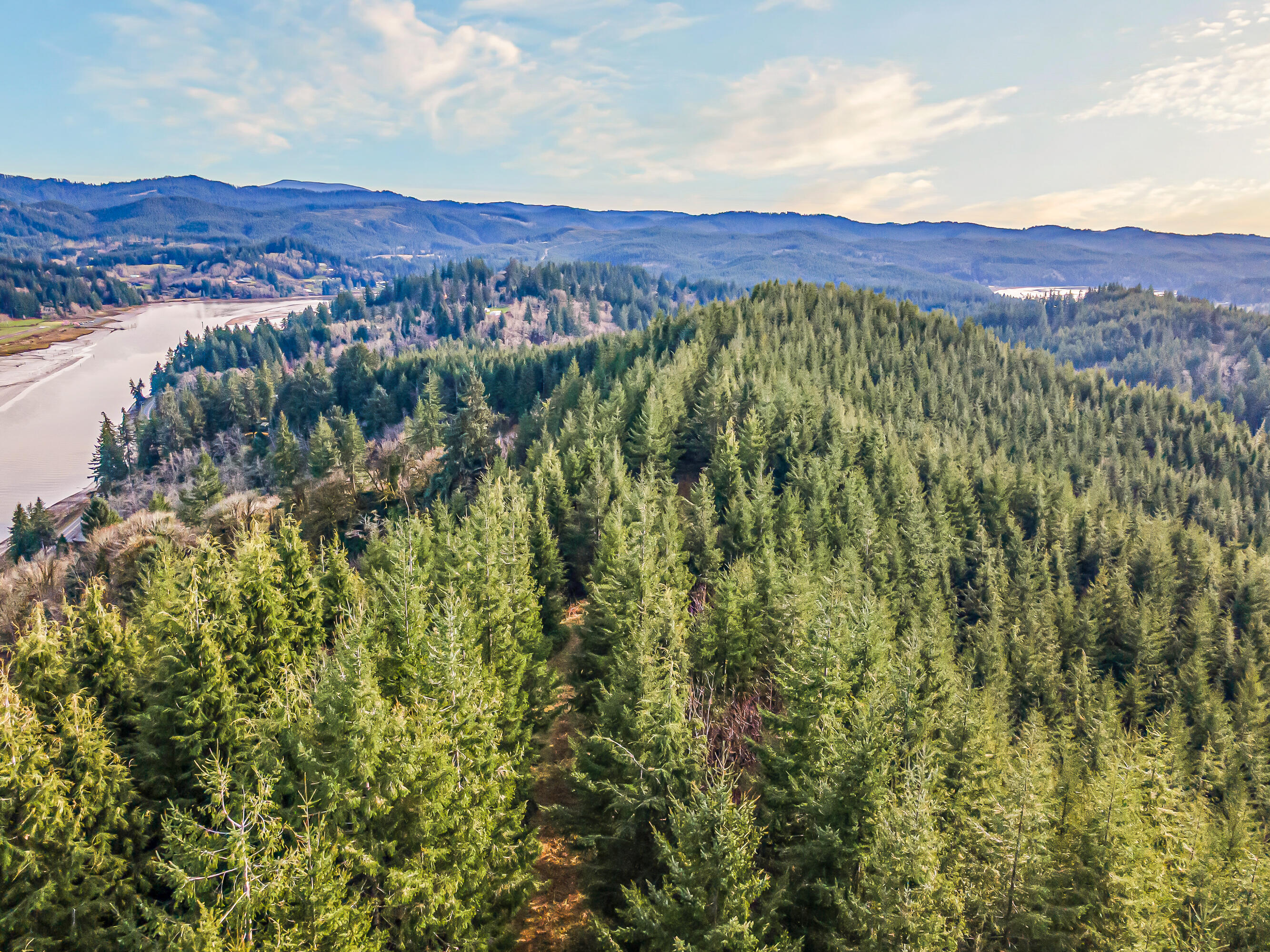 0 Criteser Loop Toledo, OR 97391 - Photo 3 of 31 DJI_0601