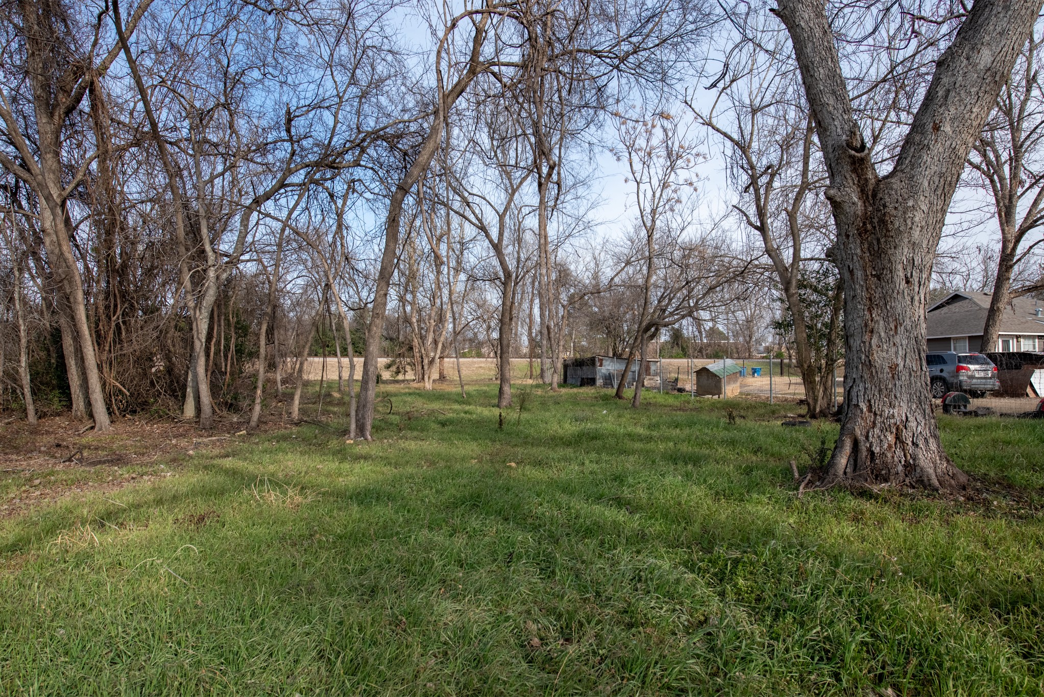 418 South Ave D Elgin, TX 78621 - Photo 3 of 29 a view of a park with large trees