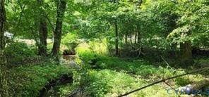 1370 Jasmine Road Goochland, VA 23063 - Photo 7 of 12 a view of a lush green forest