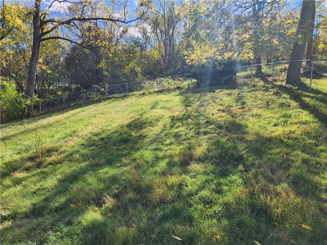 a view of yard with large trees