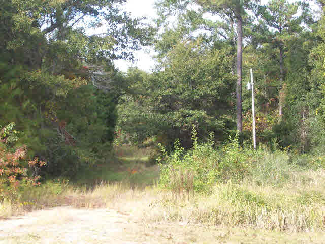 12411 West Bay Road West Foley, AL 36535 - Photo 1 of 1
