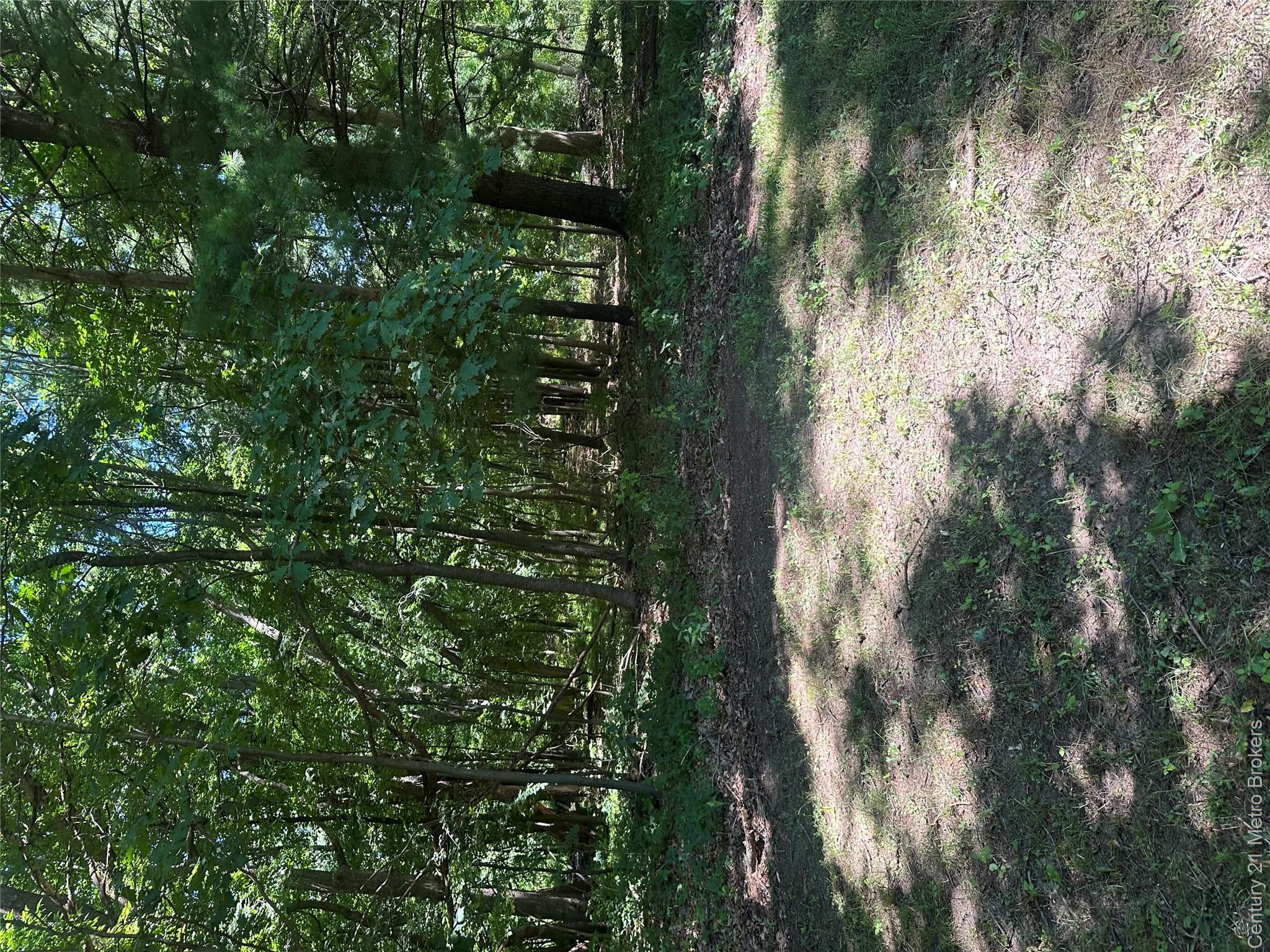 0 White Lake Road Fenton, MI 48430 - Photo 4 of 6 IMG_0123.jpeg
