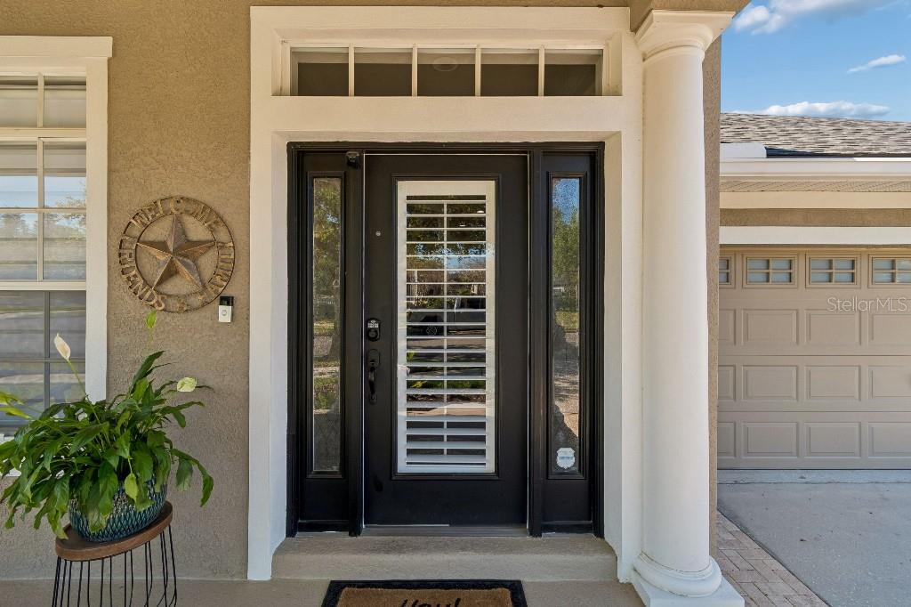 20537 Lace Cascade Road Land O Lakes, FL 34637 - Photo 5 of 45