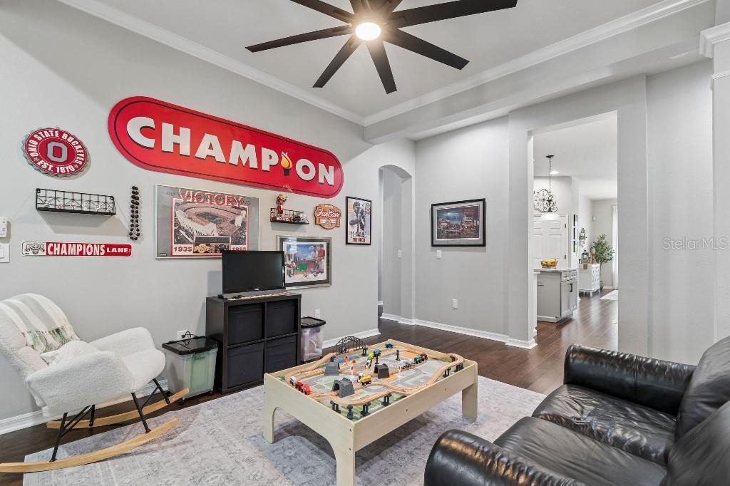 20537 Lace Cascade Road Land O Lakes, FL 34637 - Photo 8 of 45