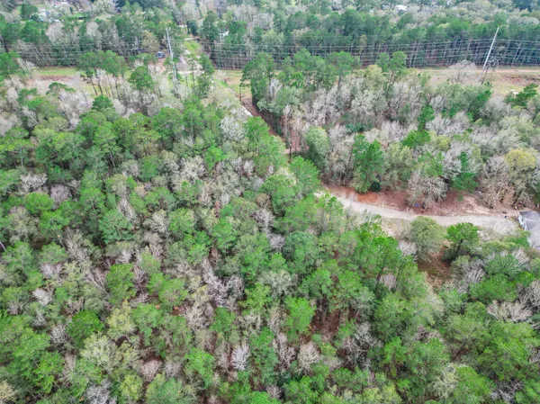 a view of a lush green forest with lots of trees