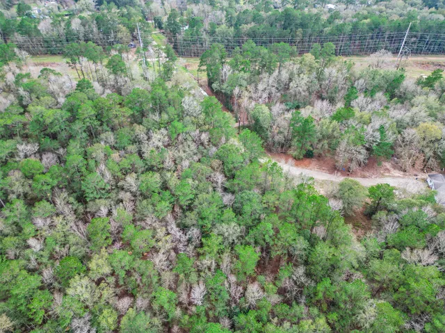 a view of a lush green forest with lots of trees
