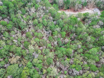 an aerial view of residential house with outdoor space and trees