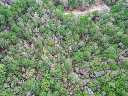 an aerial view of residential house with space and trees all around