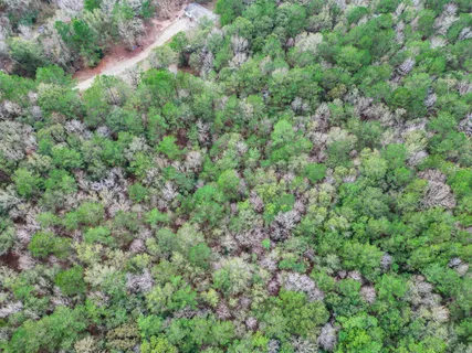 an aerial view of residential house with outdoor space and trees all around