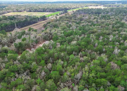 an aerial view of residential houses with outdoor space and trees