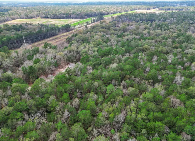 an aerial view of residential houses with outdoor space and trees