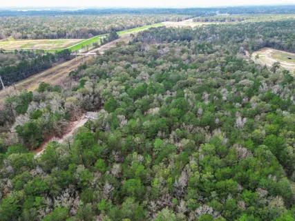 an aerial view of residential houses with outdoor space and trees