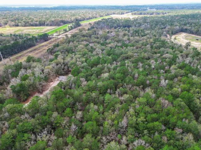 an aerial view of residential houses with outdoor space and trees