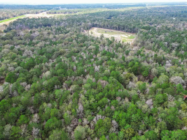 an aerial view of forest