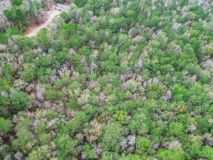 an aerial view of residential house with outdoor space and trees all around