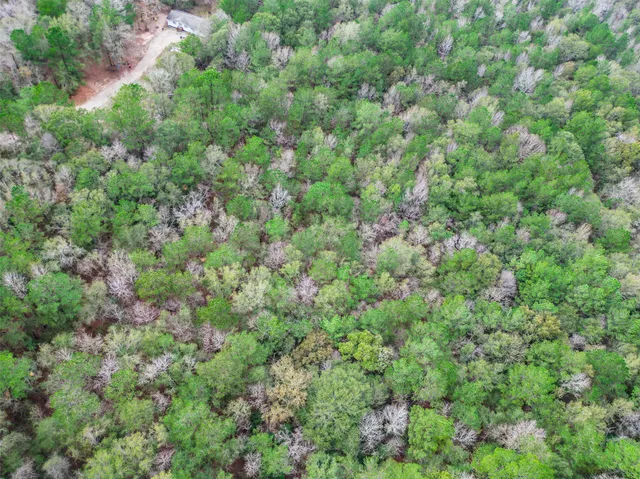 an aerial view of residential house with outdoor space and trees all around