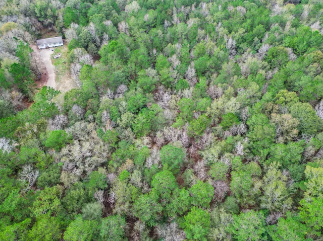 an aerial view of residential house with outdoor space and trees all around