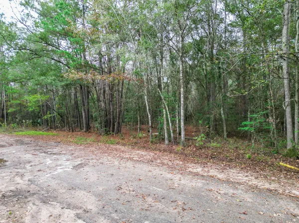 a view of outdoor space with trees