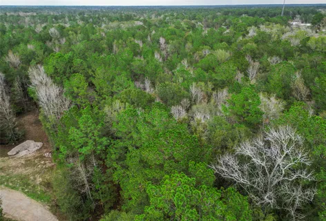 a view of a lush green forest with houses