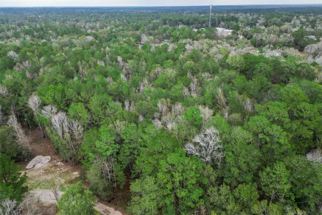an aerial view of residential houses with outdoor space and trees