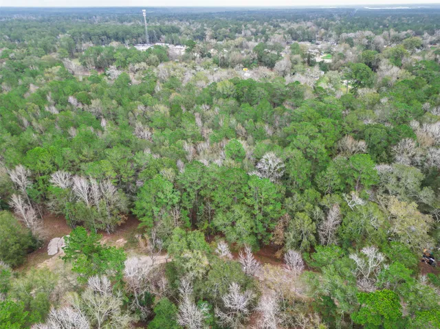 an aerial view of residential houses with outdoor space and trees