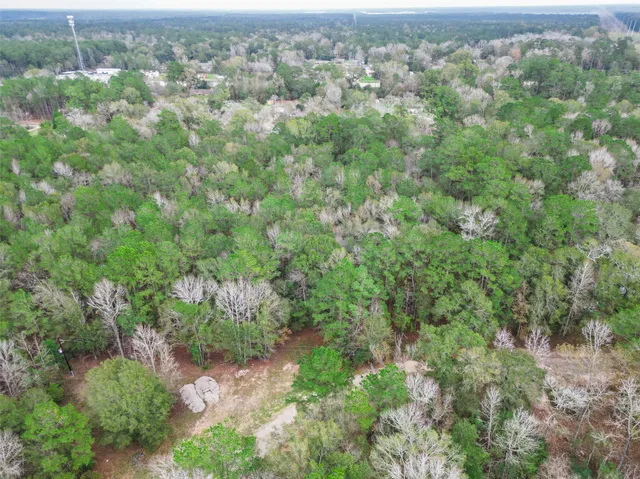 an aerial view of residential houses with outdoor space and trees