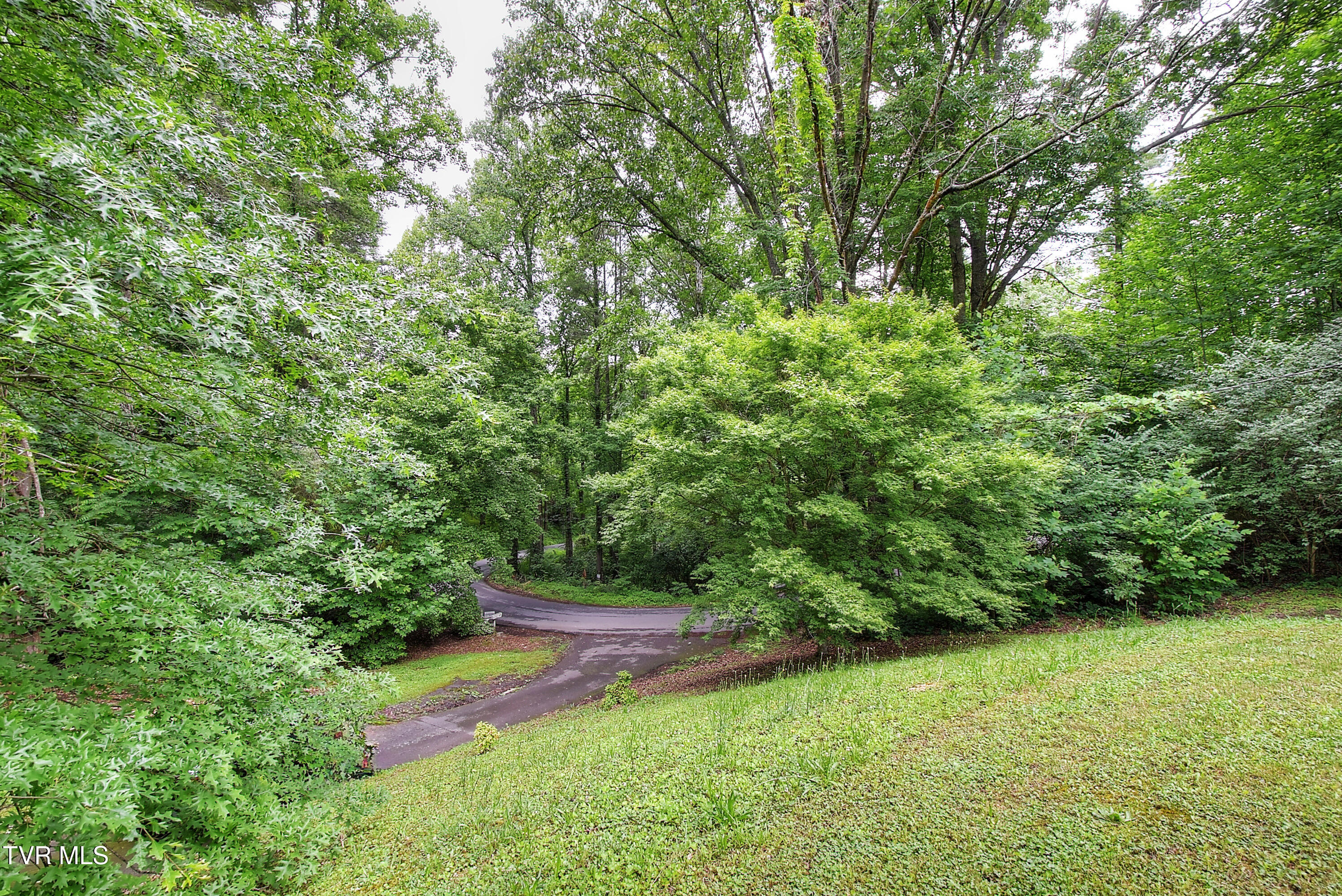 642 Dennis Cove Road Hampton, TN 37658 - Photo 11 of 35 11