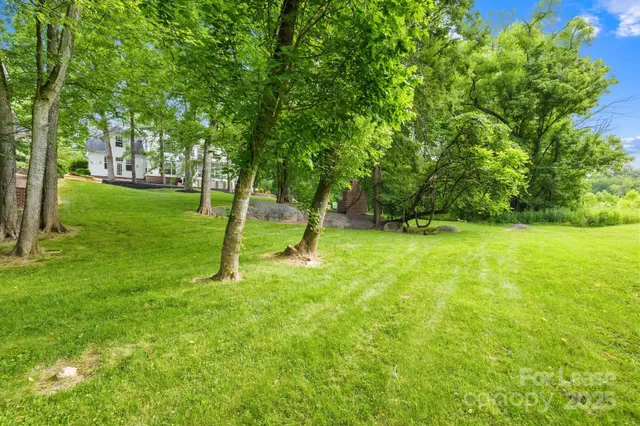 a view of yard with green space and trees