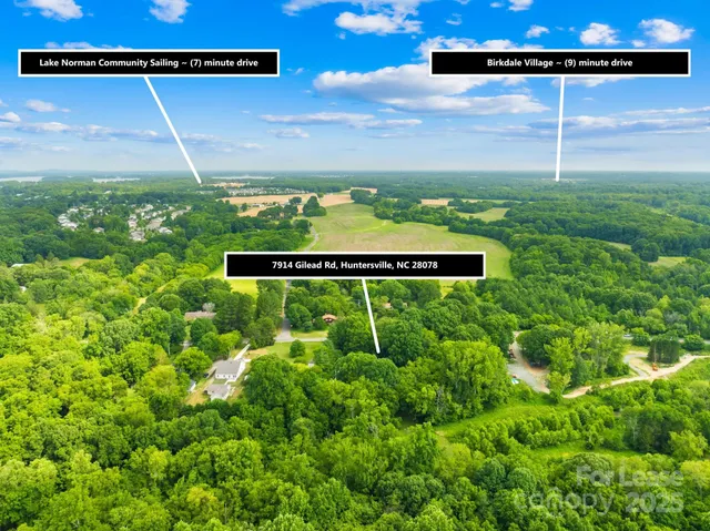 a view of a bunch of plants