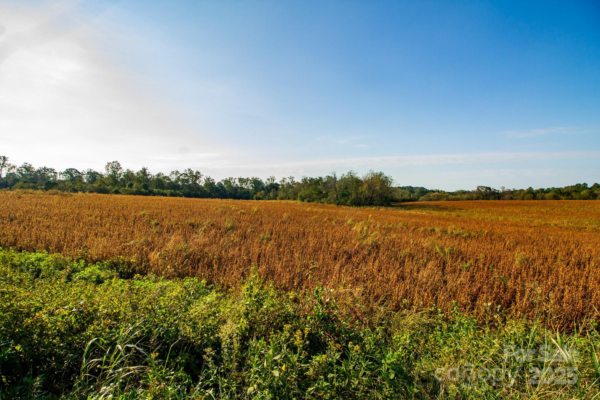 0 Lattimore Road Shelby, NC 28150 - Photo 11 of 22 a view of lake with green field
