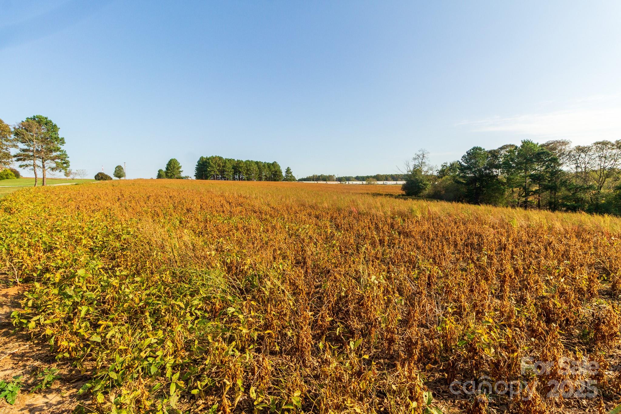 0 Lattimore Road Shelby, NC 28150 - Photo 12 of 22 a view of outdoor space and yard