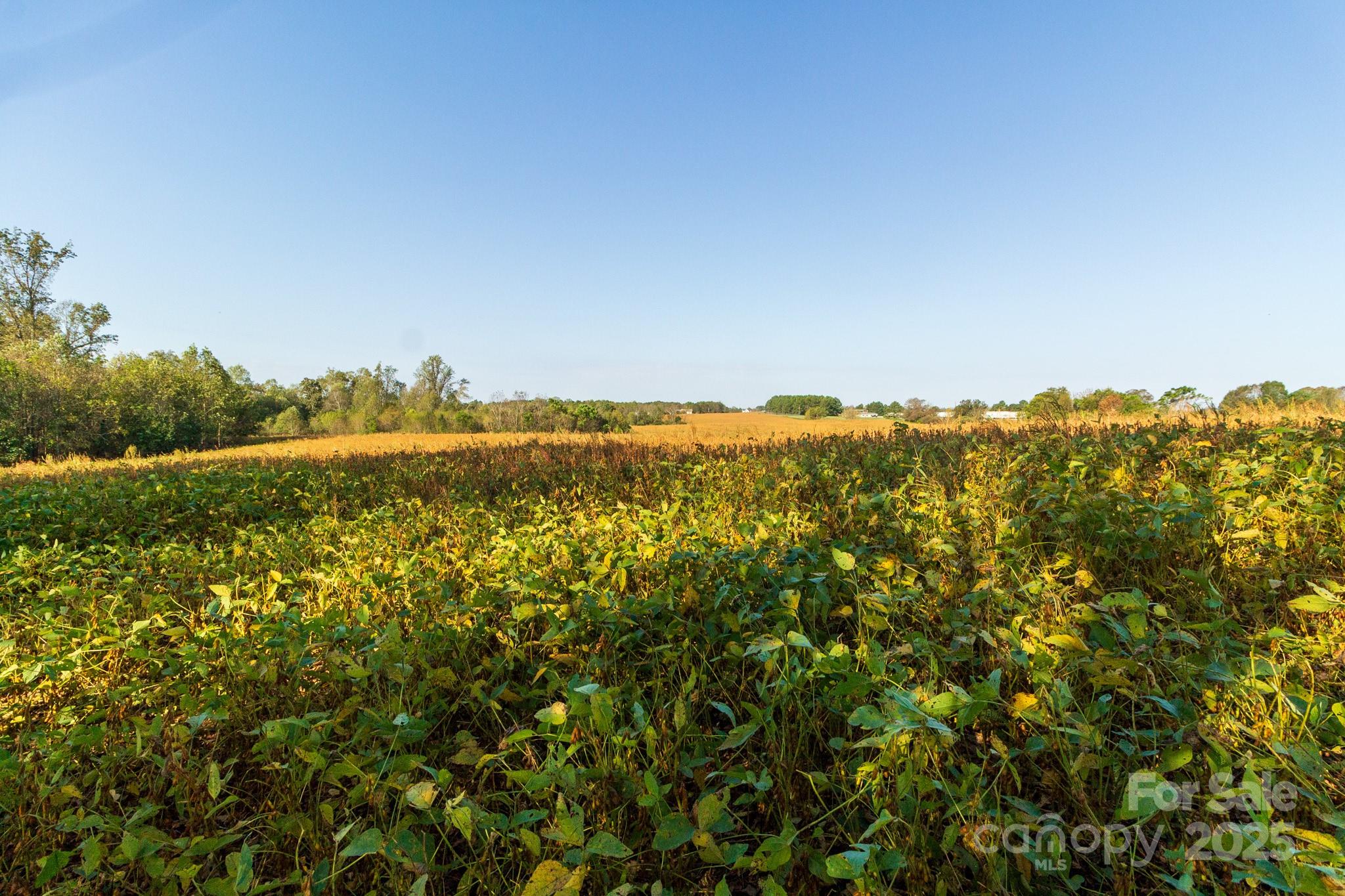 0 Lattimore Road Shelby, NC 28150 - Photo 15 of 22 a view of a large body of water with a large trees