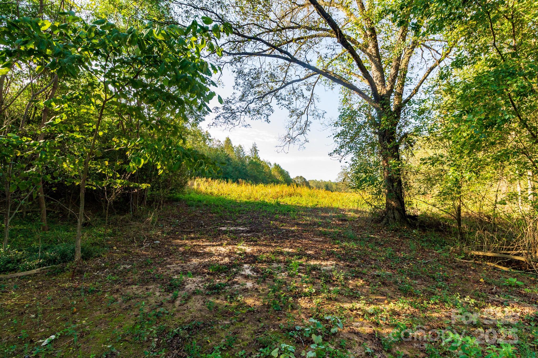 0 Lattimore Road Shelby, NC 28150 - Photo 16 of 22 a view of a lake from a yard