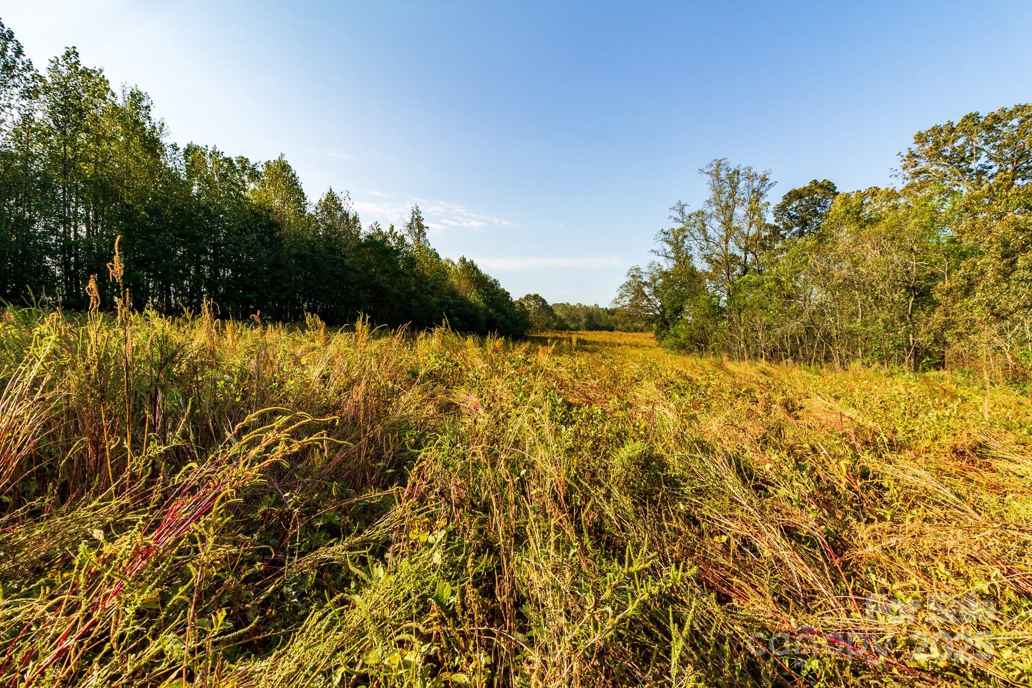 0 Lattimore Road Shelby, NC 28150 - Photo 17 of 22 a view of a lake