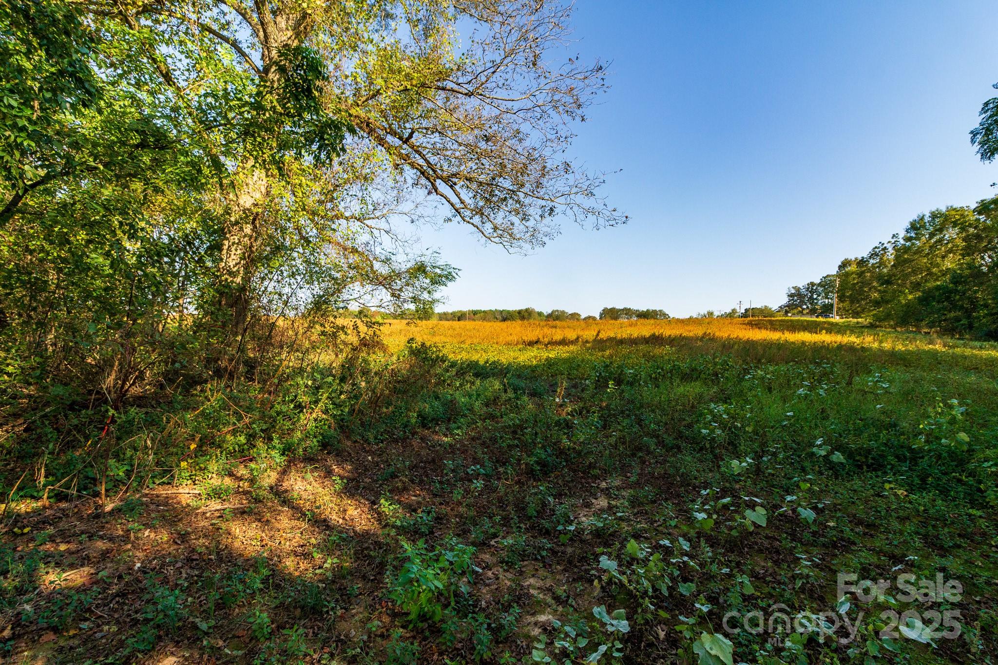 0 Lattimore Road Shelby, NC 28150 - Photo 19 of 22 a view of ocean