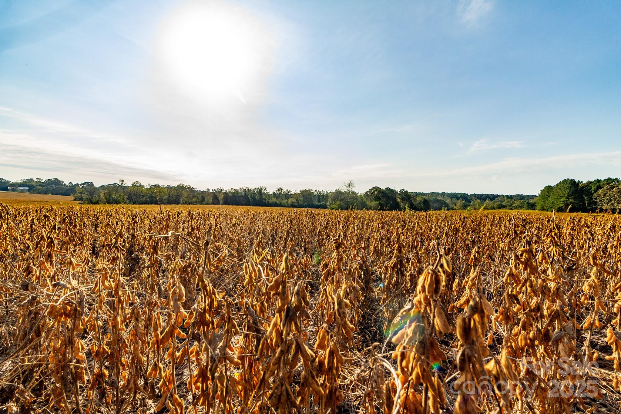 0 Lattimore Road Shelby, NC 28150 - Photo 9 of 22 a view of outdoor space and swimming pool