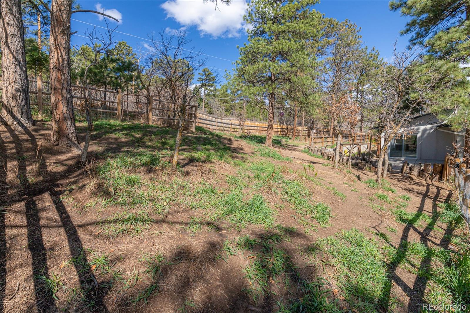 721 Forest View Road Monument, CO 80132 - Photo 34 of 45