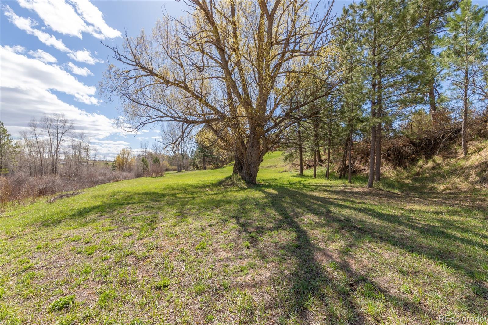 721 Forest View Road Monument, CO 80132 - Photo 39 of 45