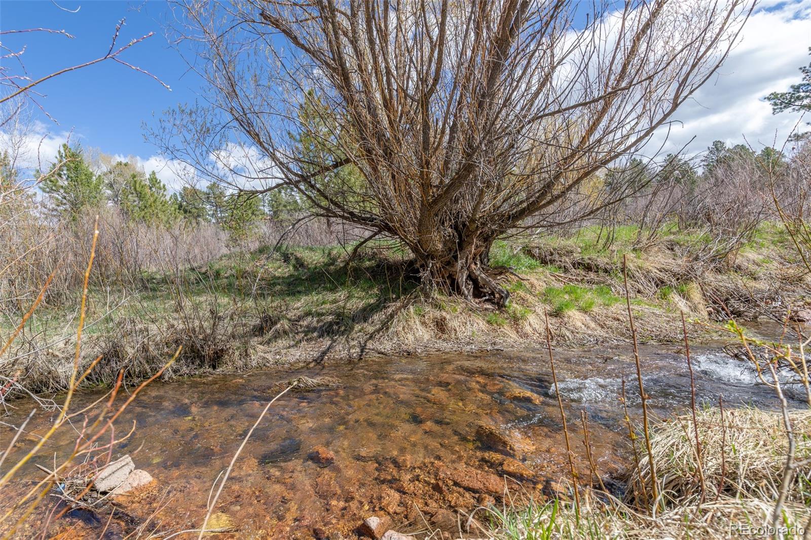 721 Forest View Road Monument, CO 80132 - Photo 40 of 45