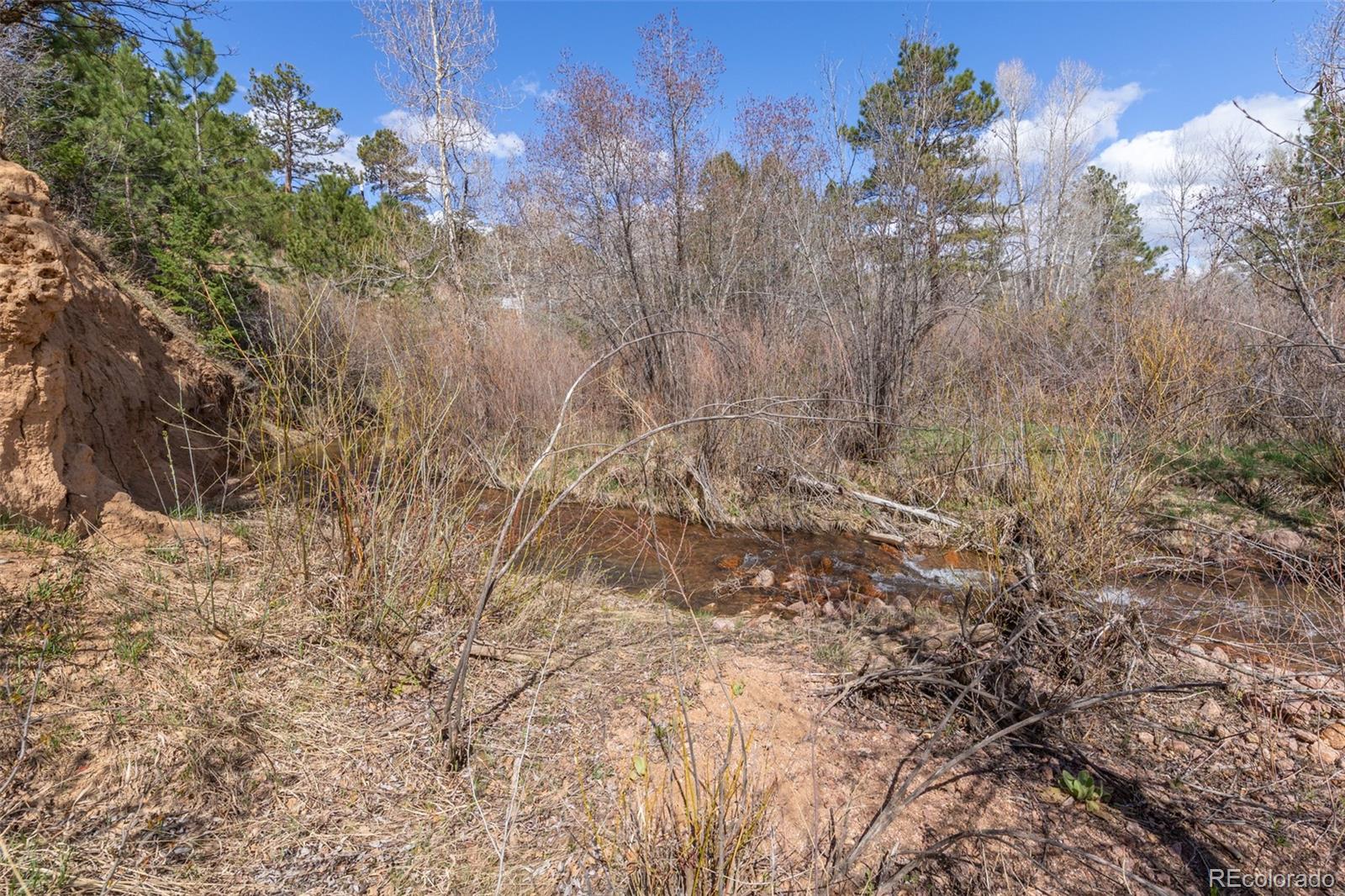 721 Forest View Road Monument, CO 80132 - Photo 41 of 45
