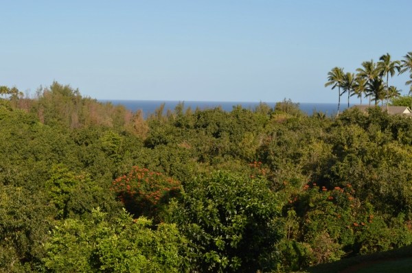 3830 Edward Road, Unit 11H Princeville, HI 96722 - Photo 2 of 14 a view of a garden