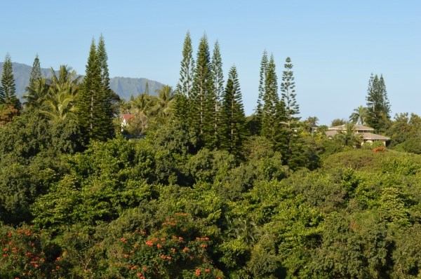 3830 Edward Road, Unit 11H Princeville, HI 96722 - Photo 3 of 14 a view of a city