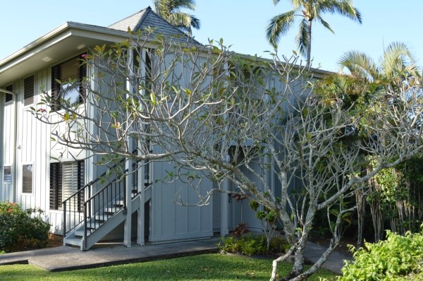 3830 Edward Road, Unit 11H Princeville, HI 96722 - Photo 7 of 14 a view of a house with a tree